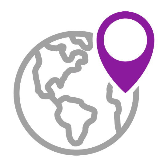 Icon: Globe