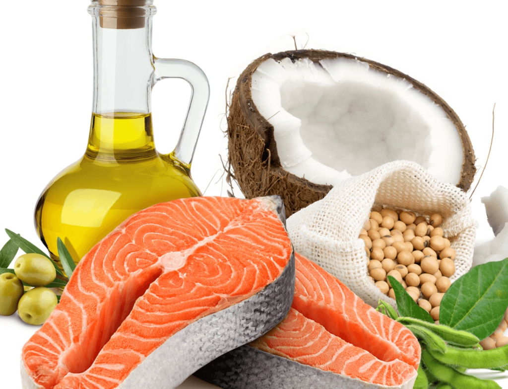 lipid sources