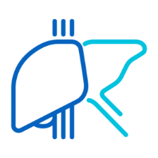 Liver results